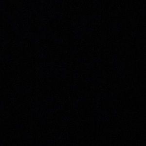 Meet your Posher, Precious